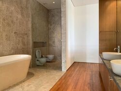 Shamrock Park (D10), Detached #477665451